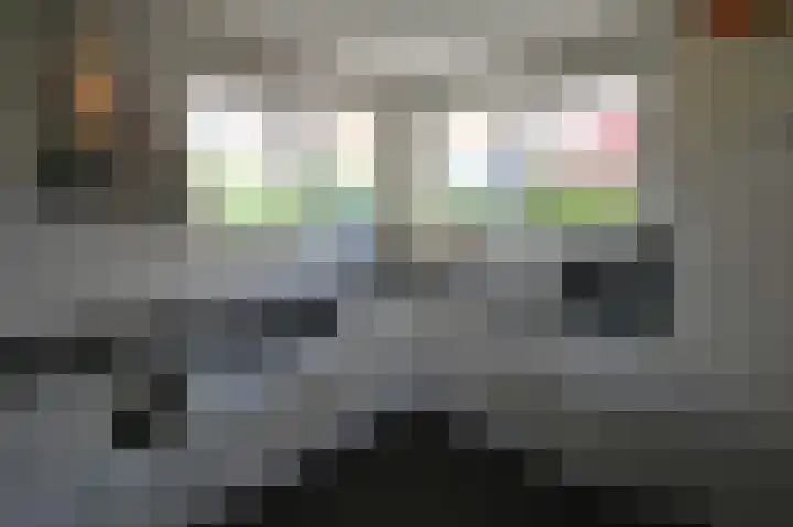 Stern 5 Zoutelande thumbnail 19