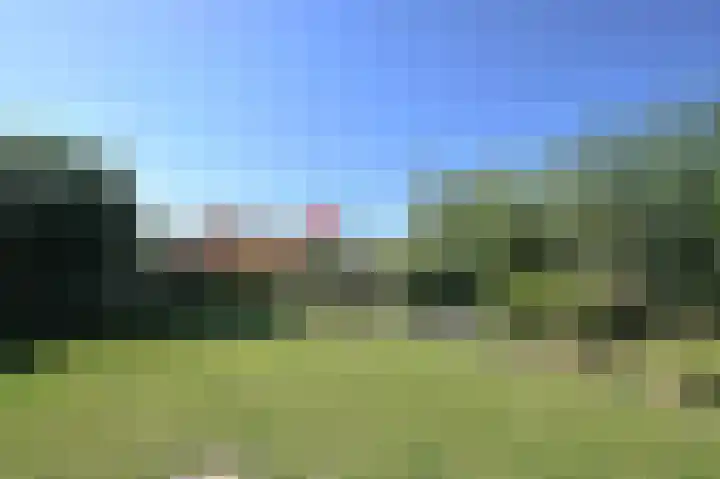 Stern 5 Zoutelande thumbnail 20