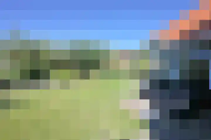Stern 5 Zoutelande thumbnail 21