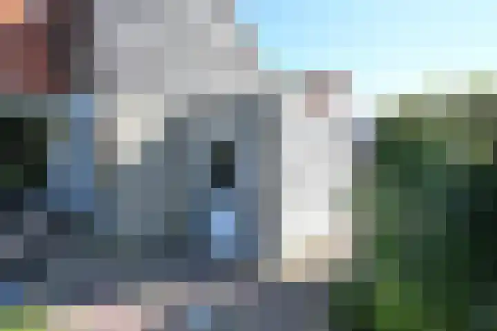Stern 5 Zoutelande thumbnail 22