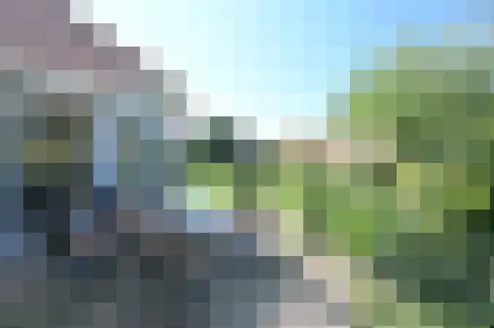 Stern 5 Zoutelande thumbnail 24
