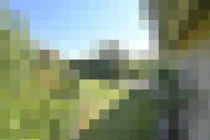 Stern 5 Zoutelande thumbnail 25