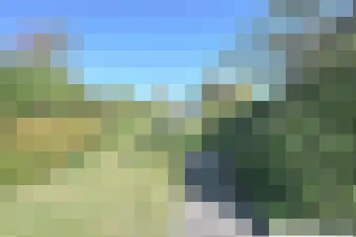 Stern 5 Zoutelande thumbnail 27