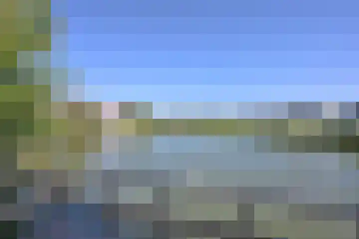 Stern 5 Zoutelande thumbnail 29