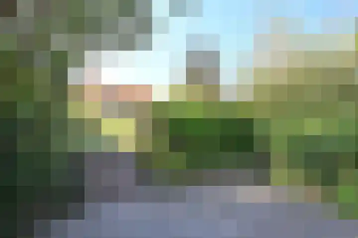 Stern 5 Zoutelande thumbnail 30