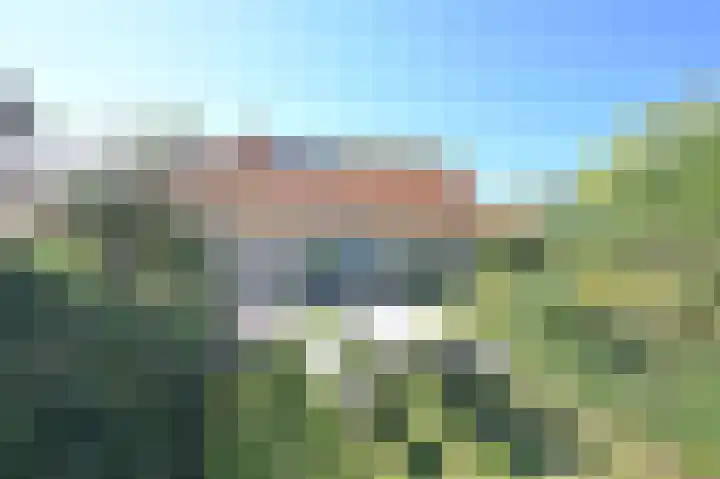 Stern 5 Zoutelande thumbnail 31