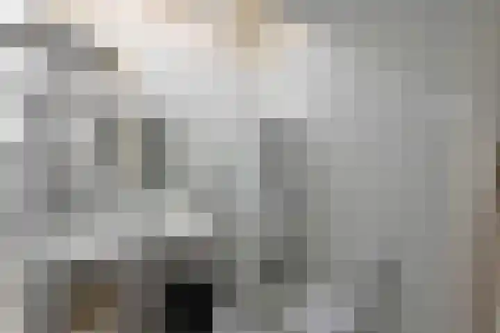 Stern 5 Zoutelande thumbnail 39