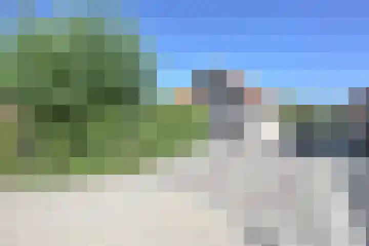 Stern 5 Zoutelande thumbnail 6