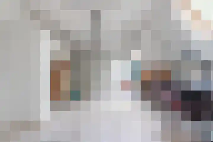 Stern 7 Broek op Langedijk thumbnail 23