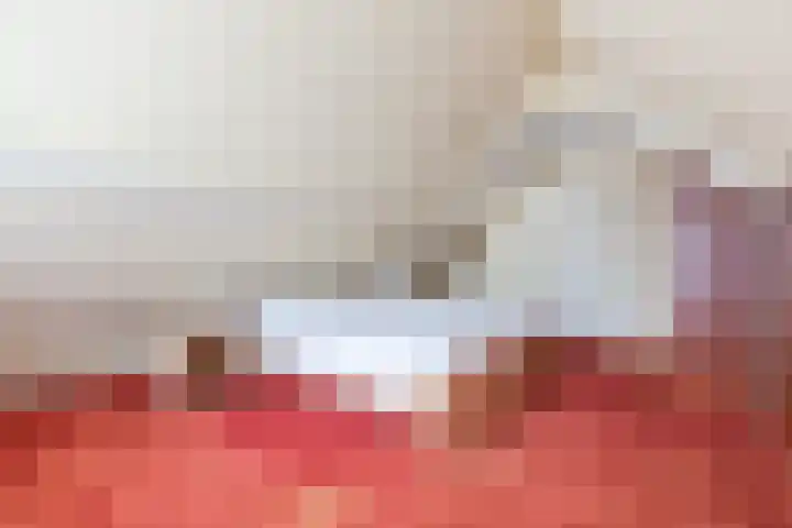 Stern 7 Broek op Langedijk thumbnail 33