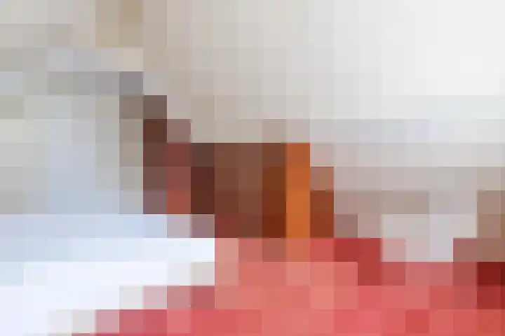 Stern 7 Broek op Langedijk thumbnail 34