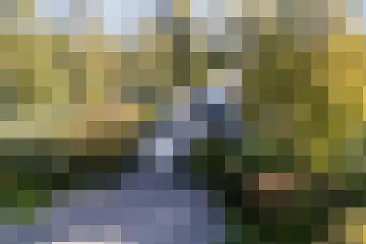 Stern 7 Broek op Langedijk thumbnail 4