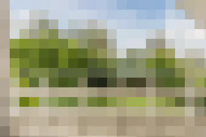 Stern 7 Broek op Langedijk thumbnail 42