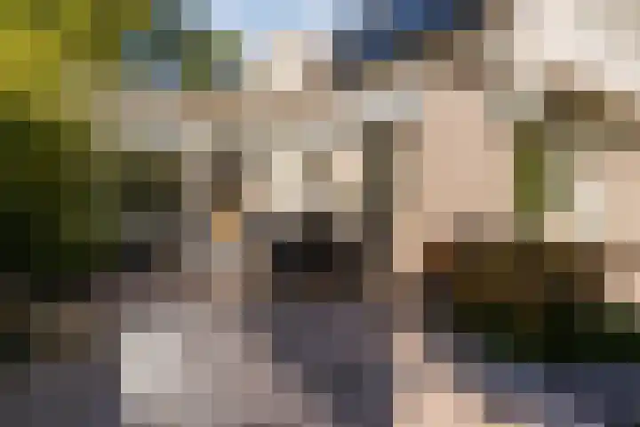 Stern 7 Broek op Langedijk thumbnail 45