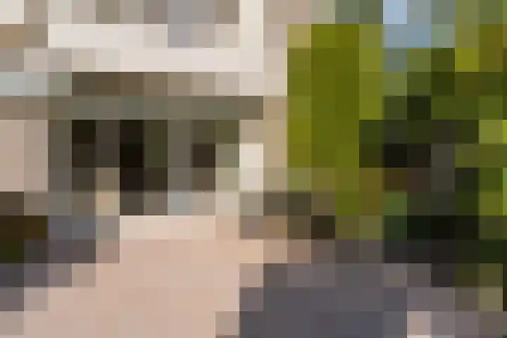 Stern 7 Broek op Langedijk thumbnail 46
