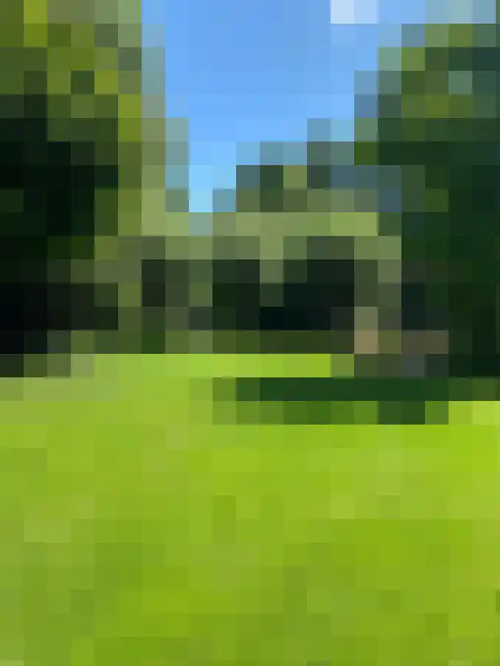 Stern 7 Broek op Langedijk thumbnail 47