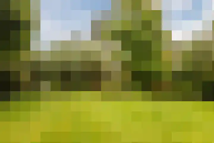 Stern 7 Broek op Langedijk thumbnail 49