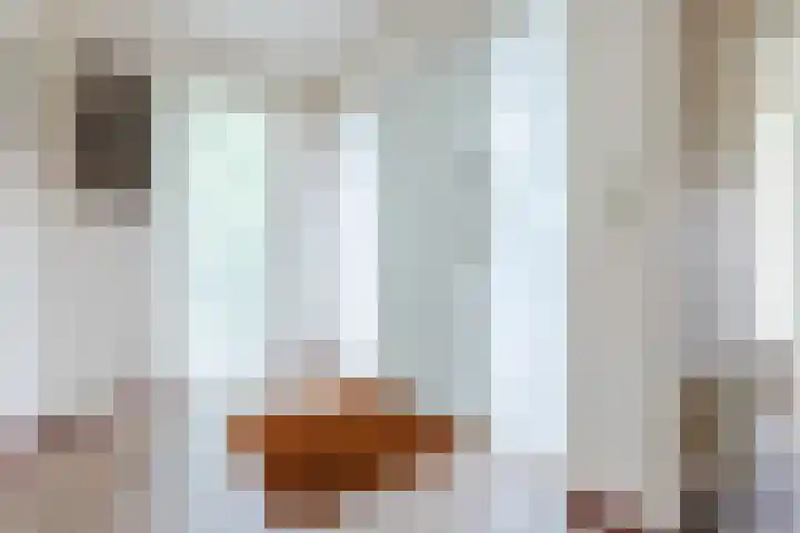 Stern 7 Broek op Langedijk thumbnail 5