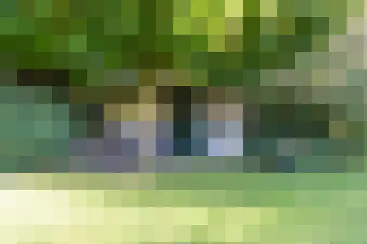 Stern 7 Broek op Langedijk thumbnail 50