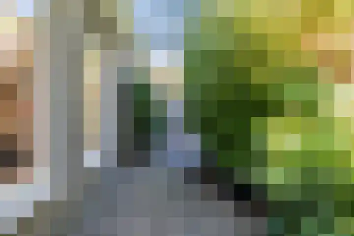 Stern 7 Broek op Langedijk thumbnail 57