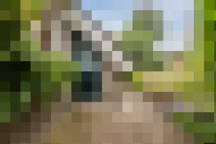 Stern 7 Broek op Langedijk thumbnail 58