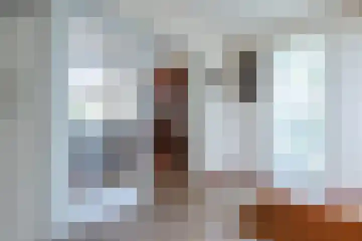 Stern 7 Broek op Langedijk thumbnail 6