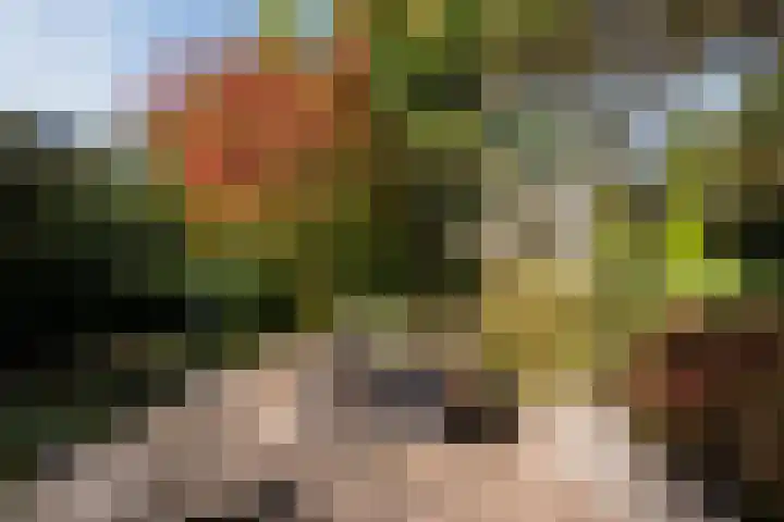 Stern 7 Broek op Langedijk thumbnail 62