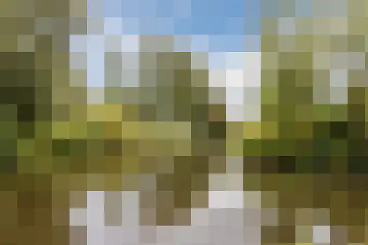 Stern 7 Broek op Langedijk thumbnail 63