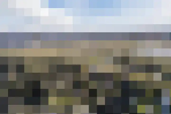 Stern 7 Broek op Langedijk thumbnail 69