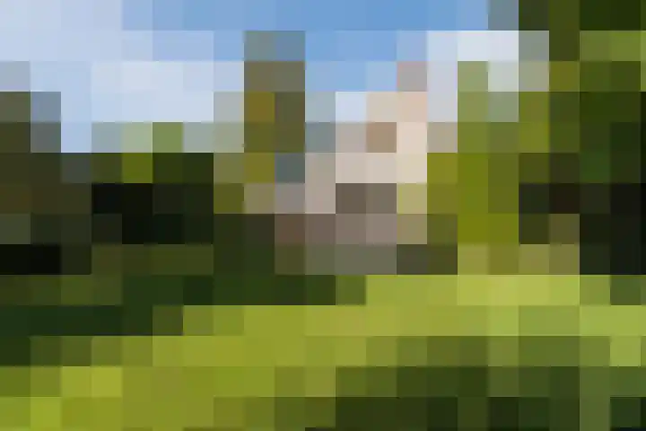 Stern 7 Broek op Langedijk thumbnail 71