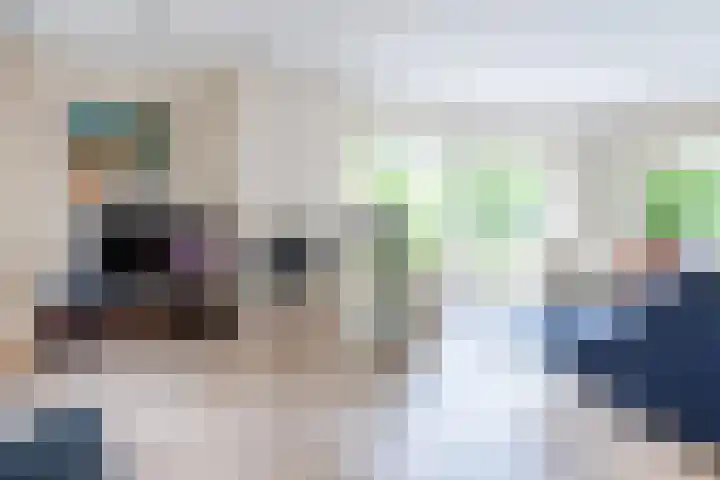 Stern 7 Broek op Langedijk thumbnail 8