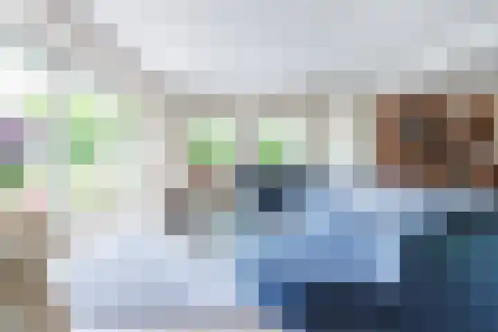 Stern 7 Broek op Langedijk thumbnail 9