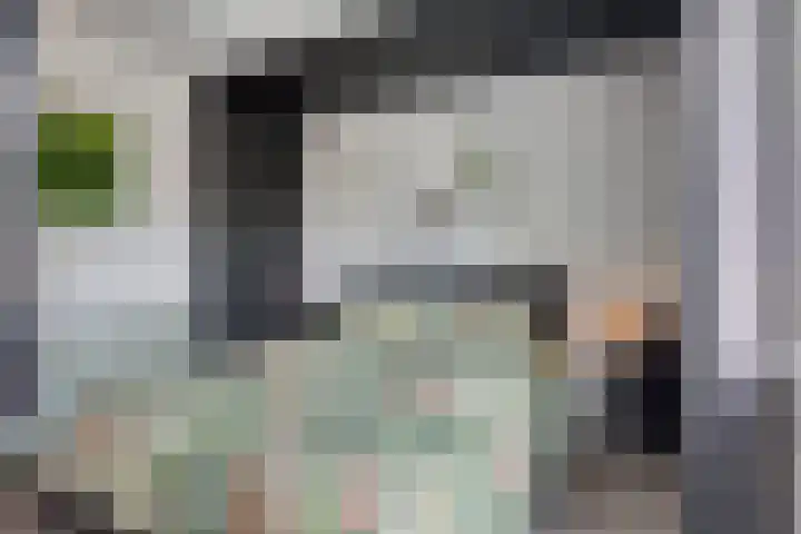 Sterndonk 44 Veghel thumbnail 14