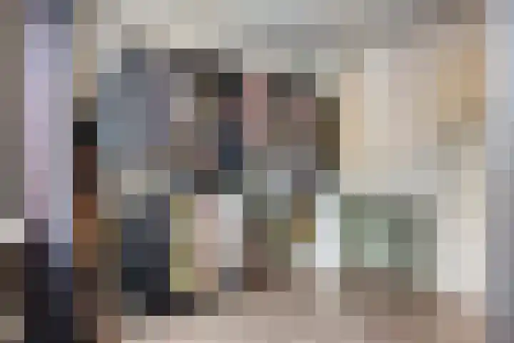 Sterndonk 44 Veghel thumbnail 15