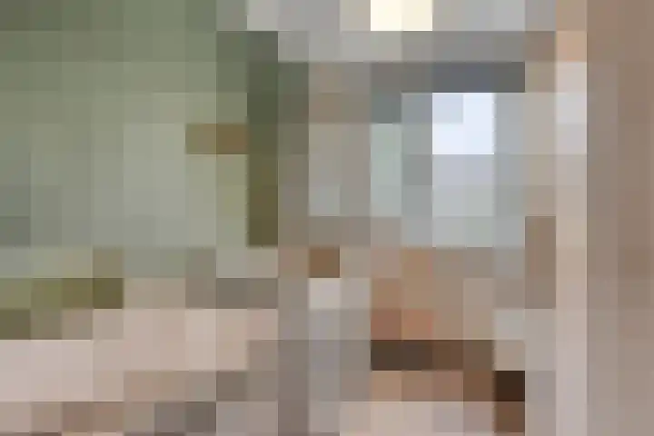 Sterndonk 44 Veghel thumbnail 17