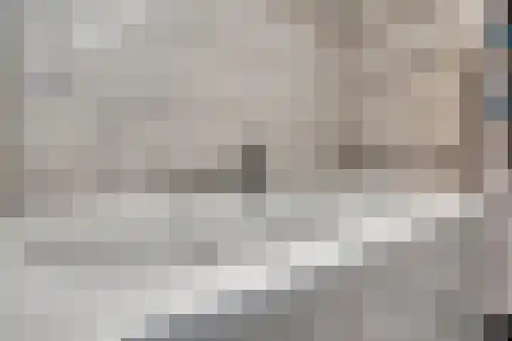 Sterndonk 44 Veghel thumbnail 20