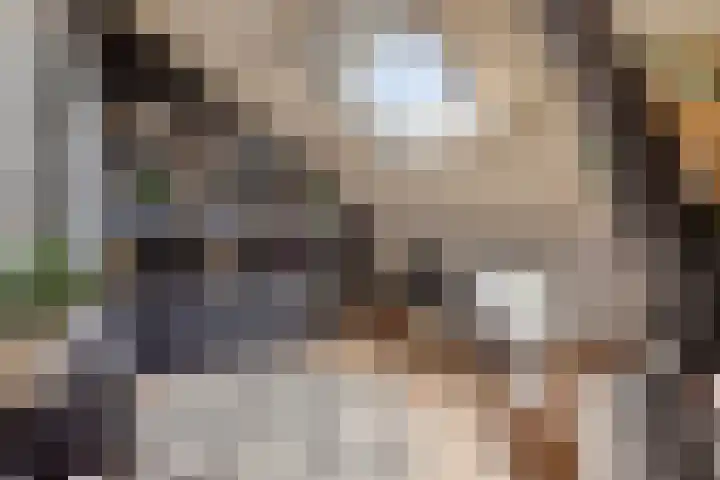 Sterndonk 44 Veghel thumbnail 21