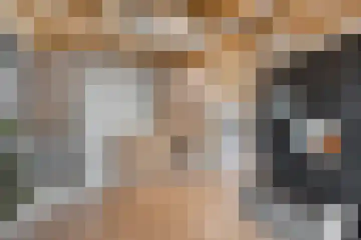 Sterndonk 44 Veghel thumbnail 24
