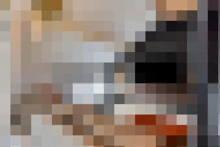 Sterndonk 44 Veghel thumbnail 26
