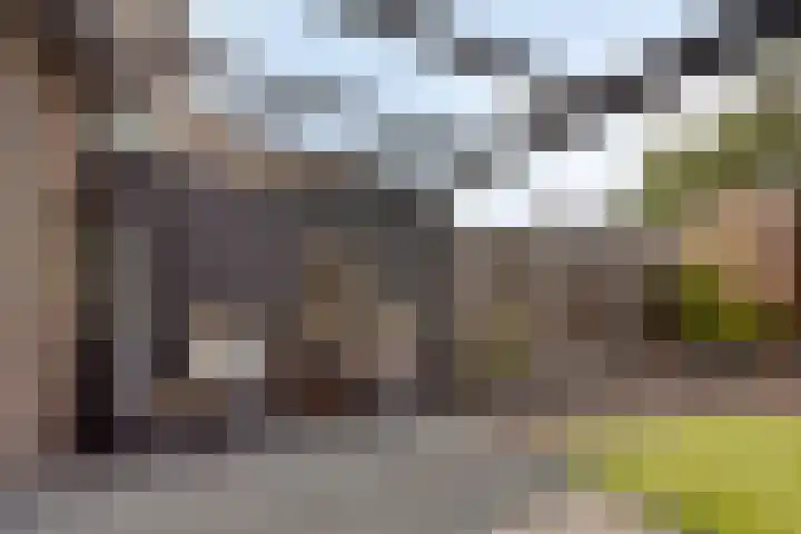 Sterndonk 44 Veghel thumbnail 28