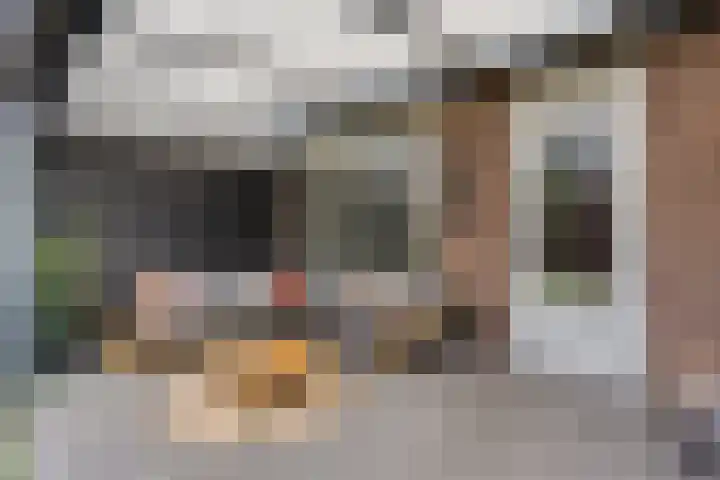 Sterndonk 44 Veghel thumbnail 33