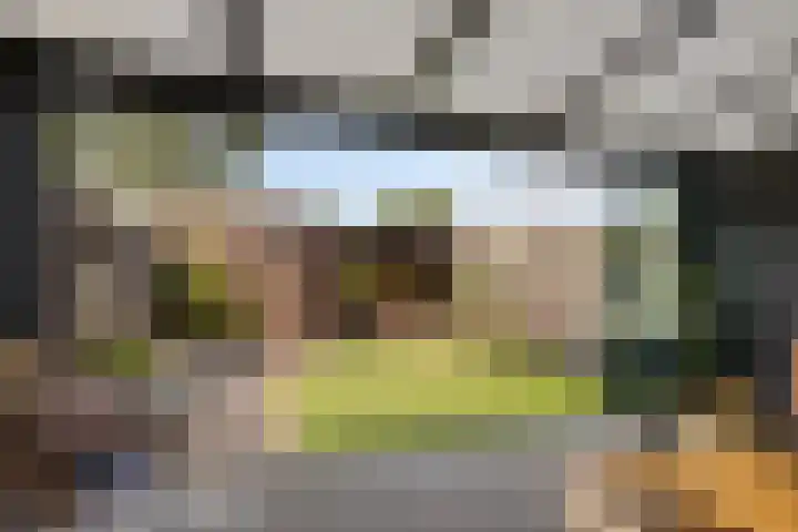 Sterndonk 44 Veghel thumbnail 34