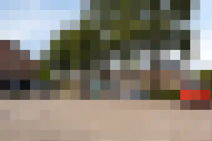 Sterndonk 44 Veghel thumbnail 36