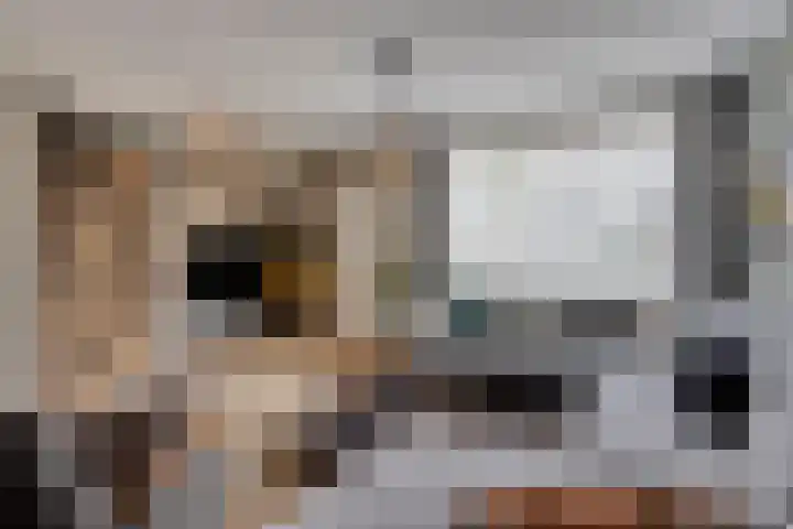 Sterndonk 44 Veghel thumbnail 6