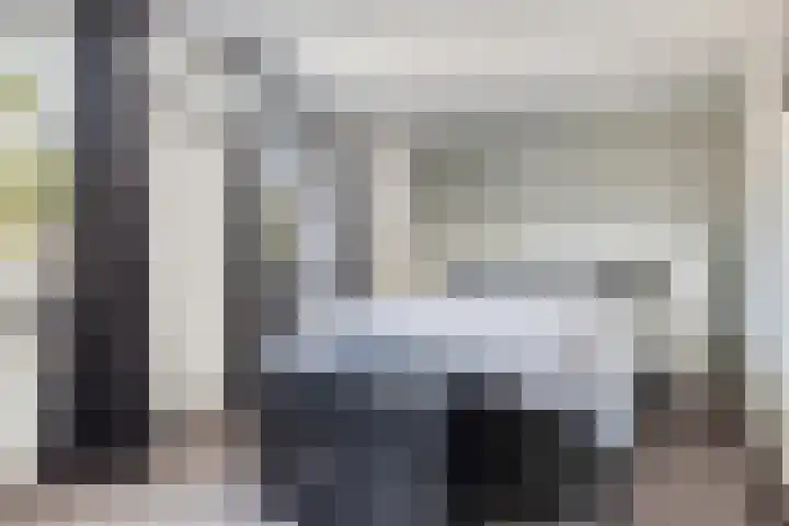 Sterndonk 47 Veghel thumbnail 13