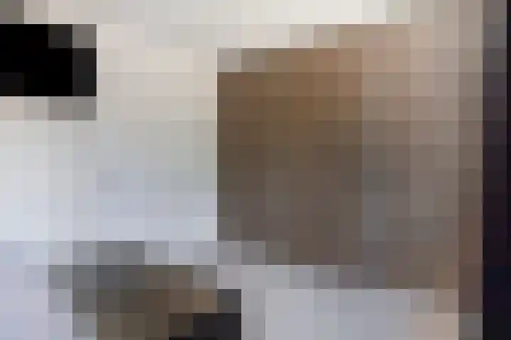 Sterndonk 47 Veghel thumbnail 14