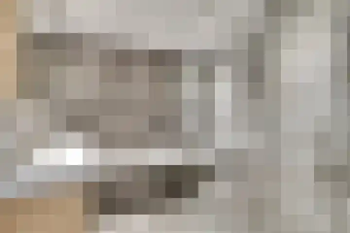 Sterndonk 47 Veghel thumbnail 15