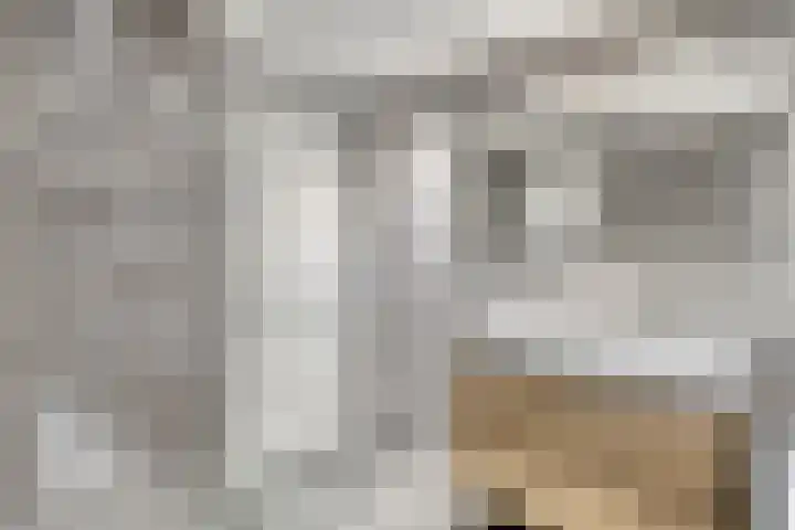 Sterndonk 47 Veghel thumbnail 16