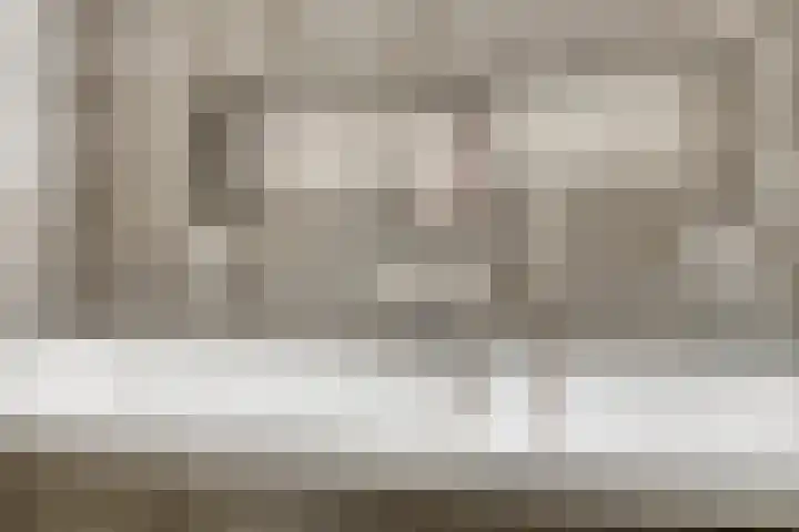 Sterndonk 47 Veghel thumbnail 17