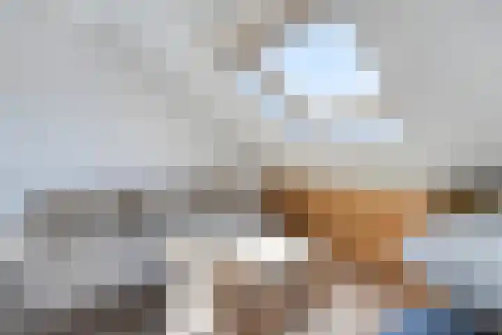 Sterndonk 47 Veghel thumbnail 23
